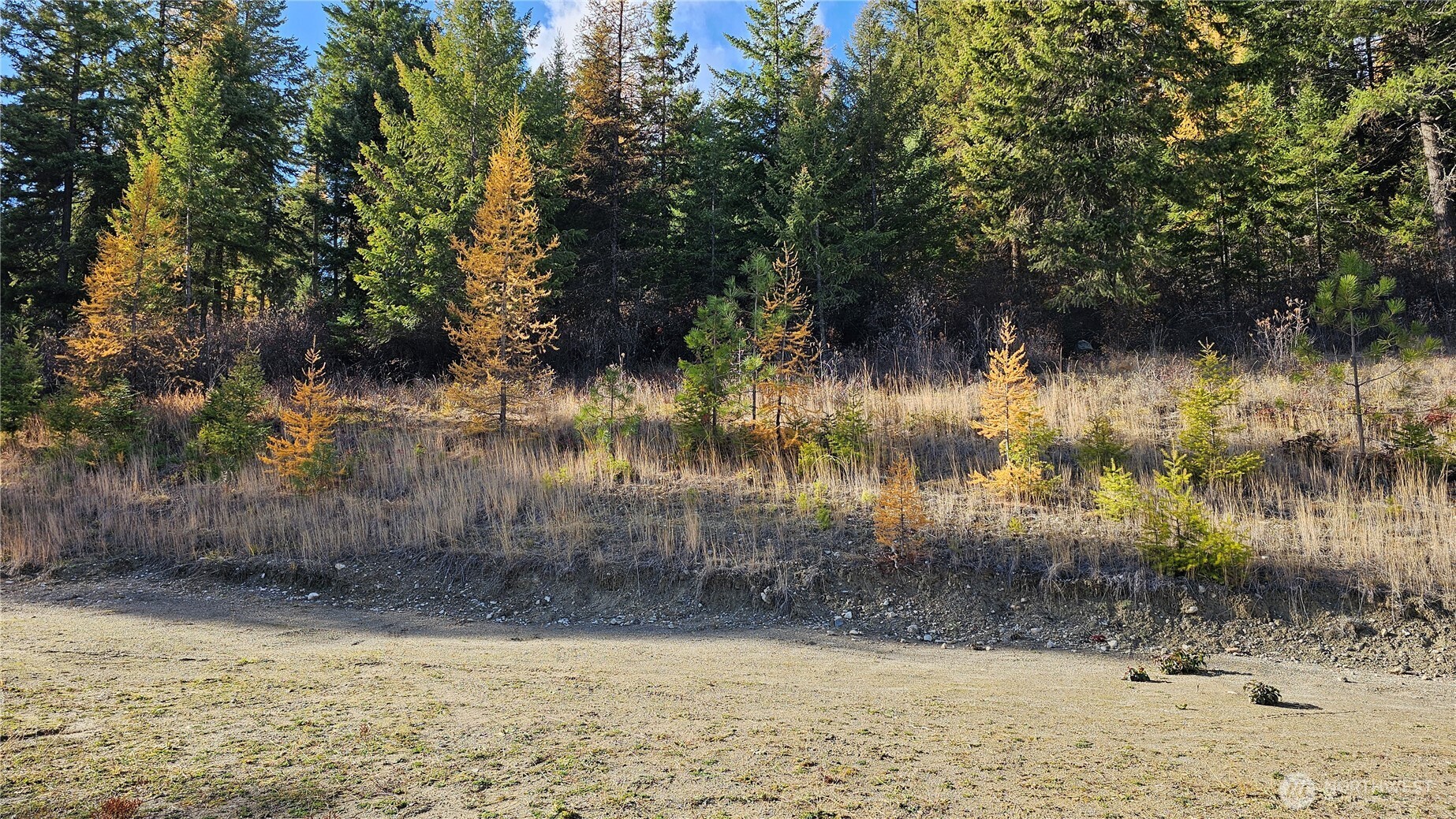 717 C Finley Gulch Rd. Property Photo 5