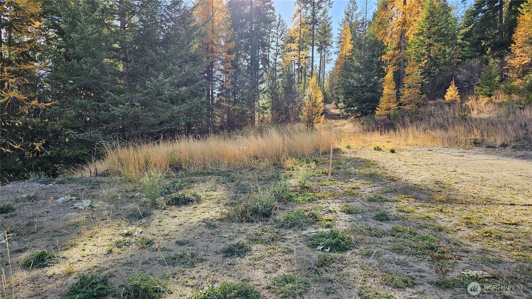 717 C Finley Gulch Rd. Property Photo 6