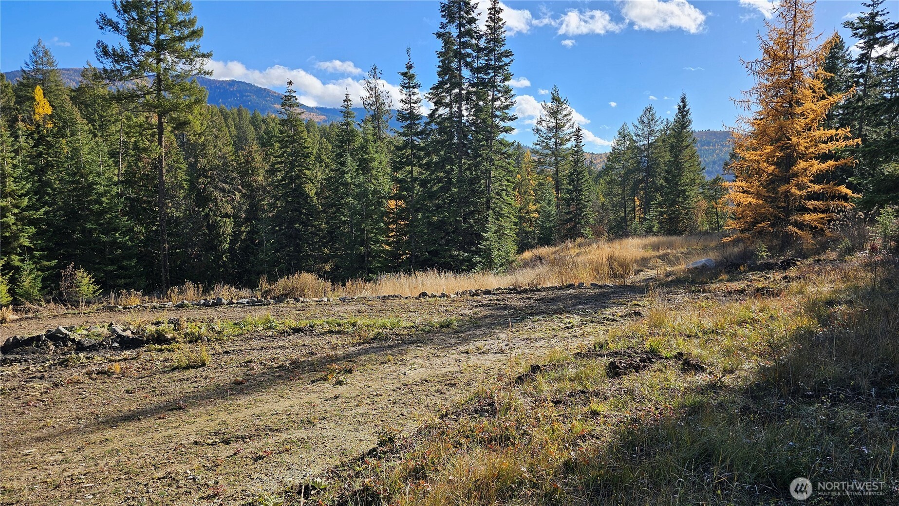 717 C Finley Gulch Rd. Property Photo 7