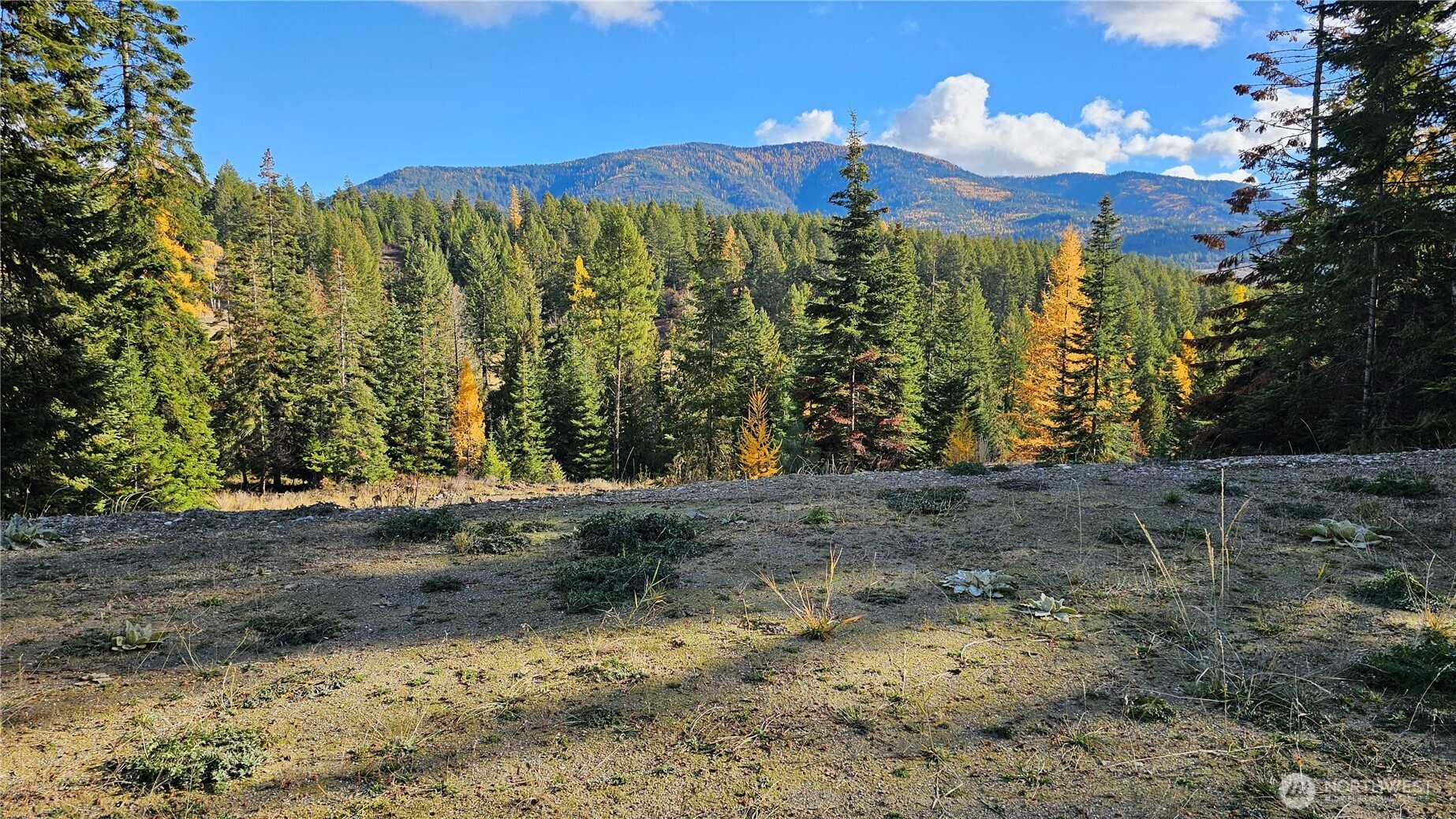 717 C Finley Gulch Rd. Property Photo 8