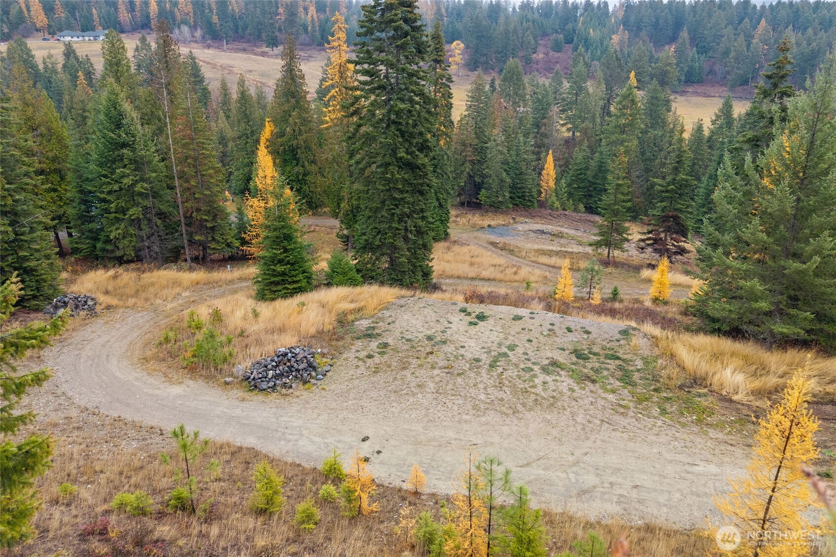 717 C Finley Gulch Rd. Property Photo 10