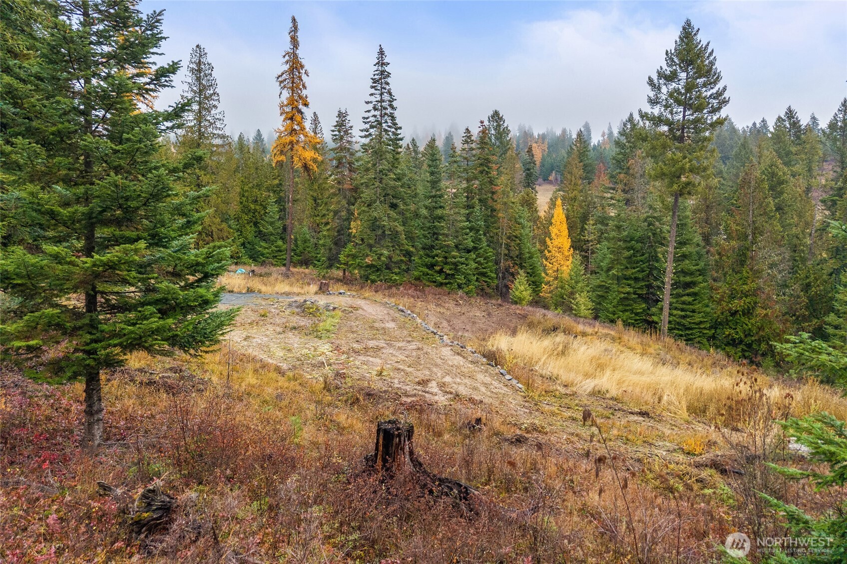717 C Finley Gulch Rd. Property Photo 12