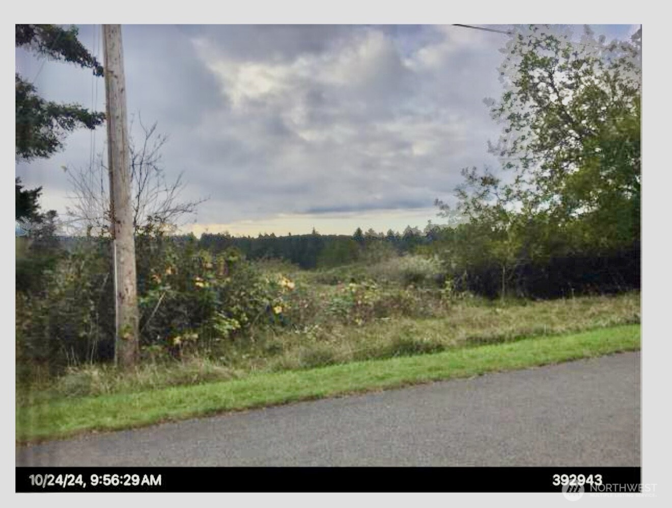 0 La Cana Street Property Photo 3