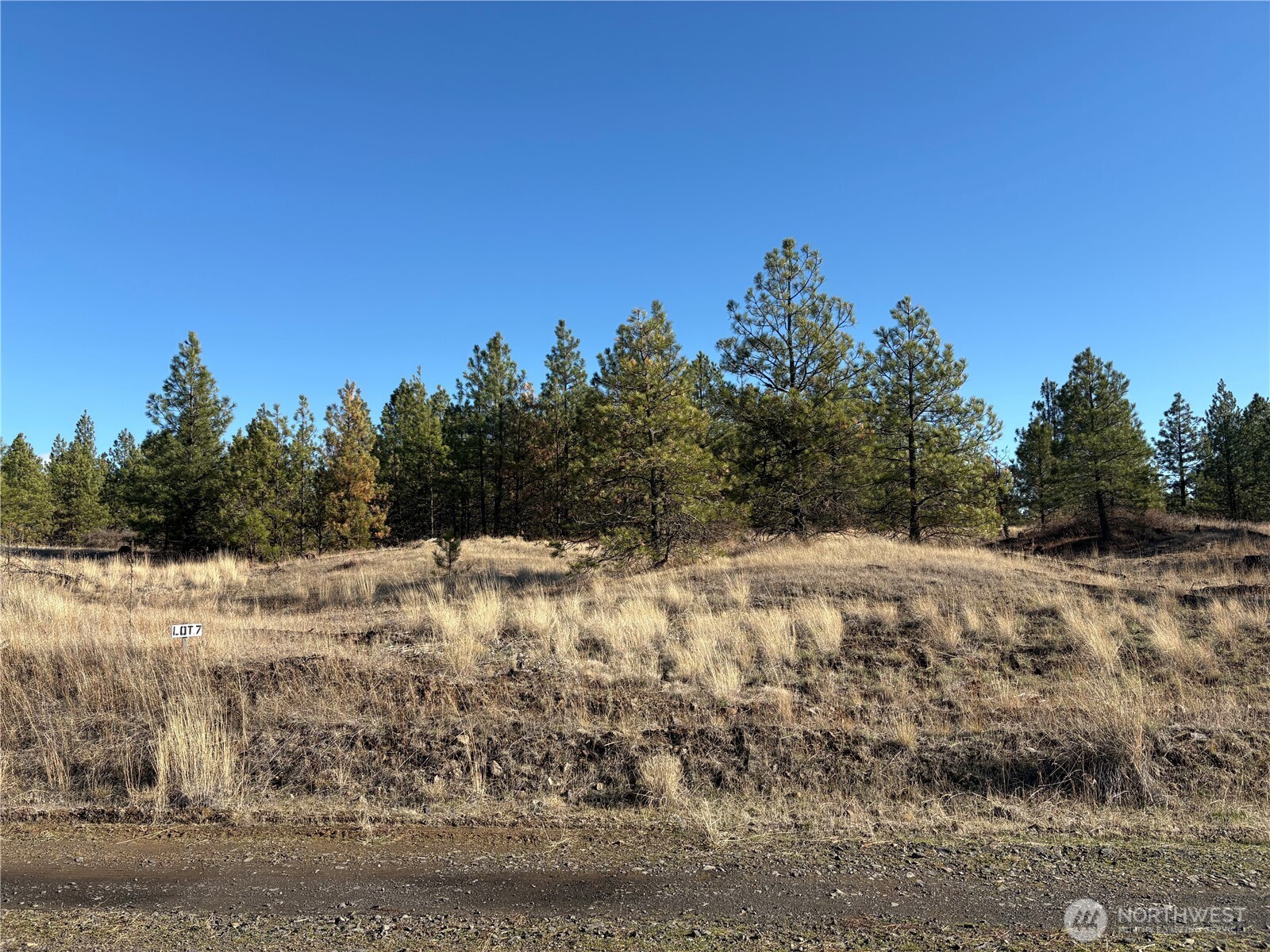 35350 Prairie Lane Lot 7