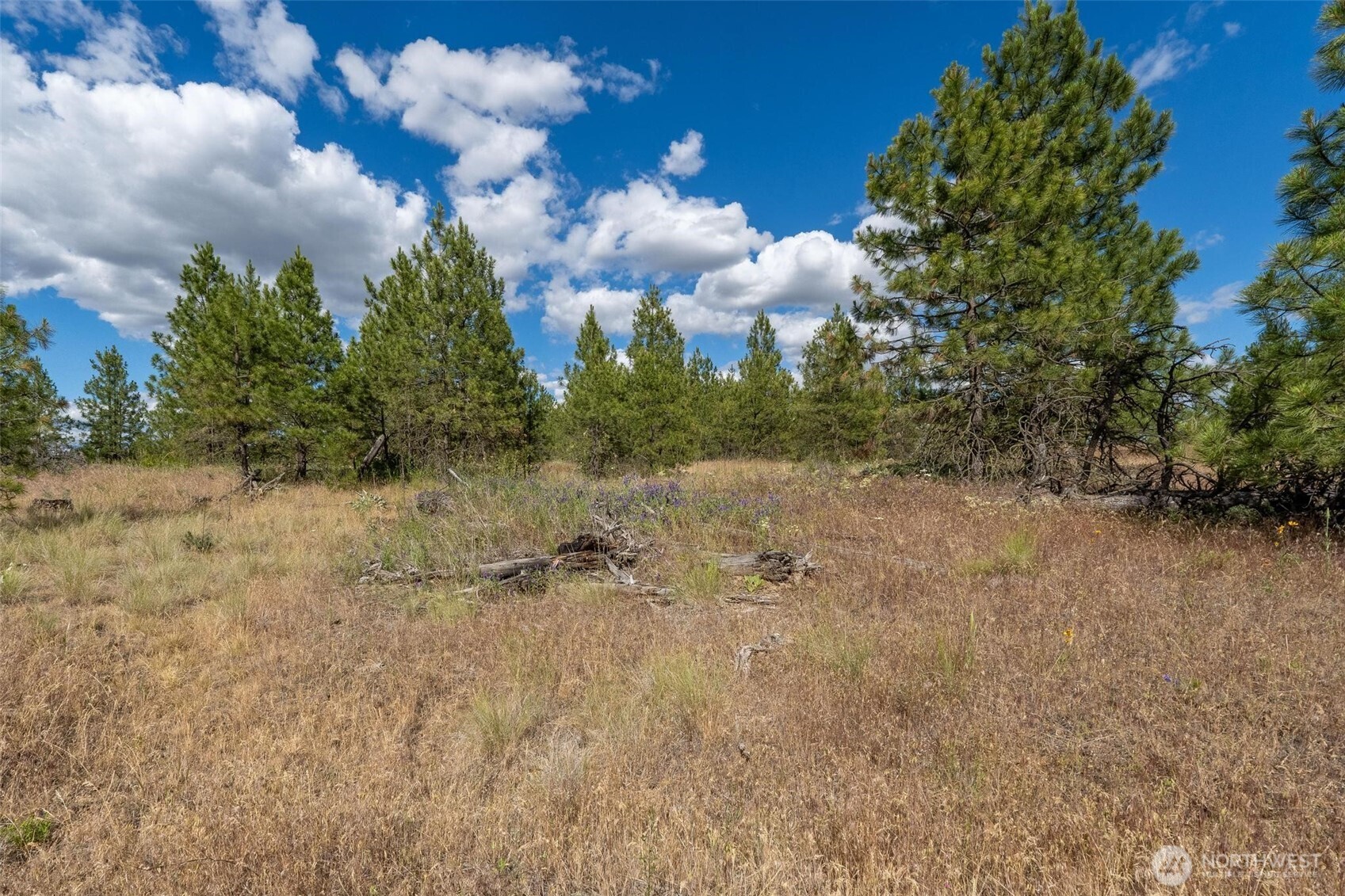 35350 Prairie Lane Lot 7 Property Photo 6