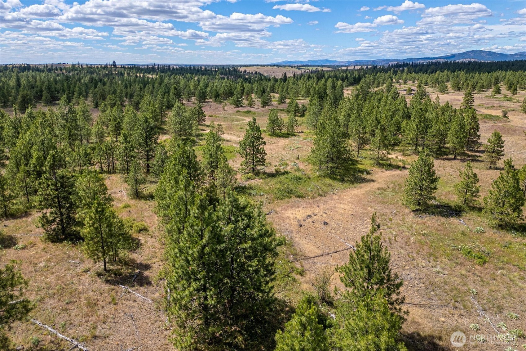 35350 Prairie Lane Lot 7 Property Photo 7
