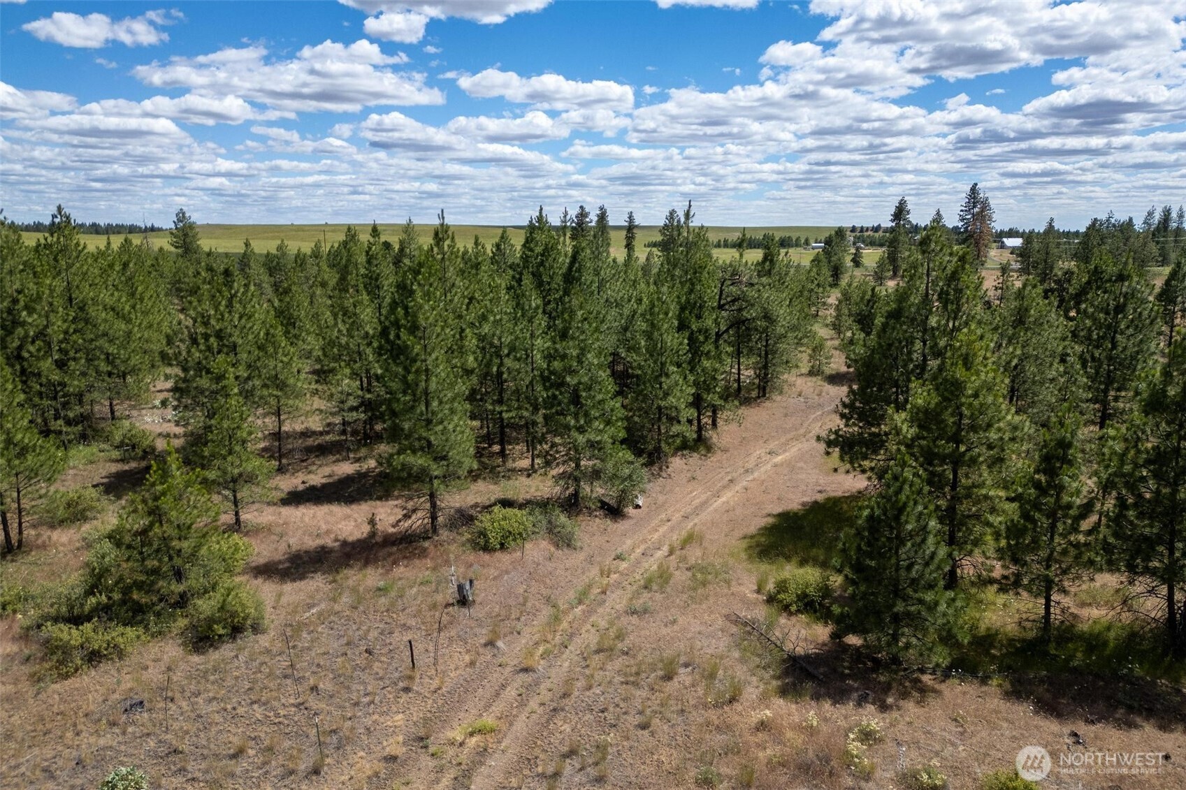 35350 Prairie Lane Lot 7 Property Photo 8