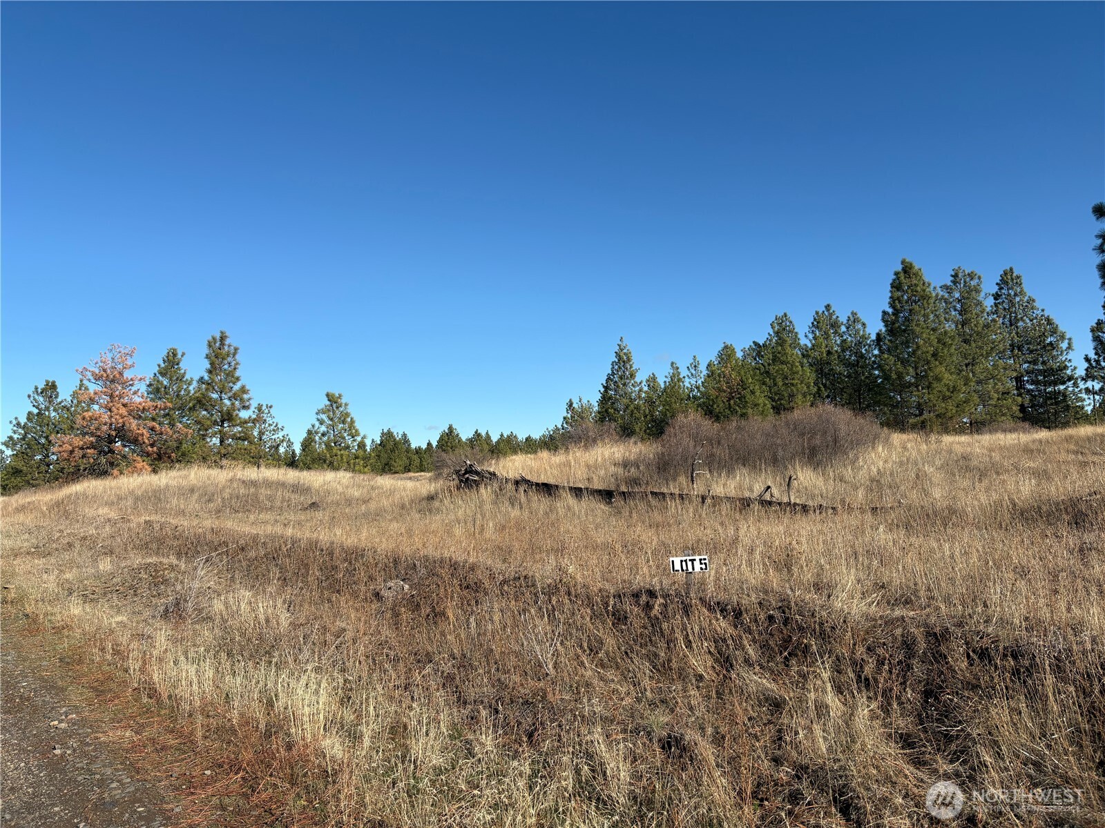35390 Prairie Lane Lot 5 Property Photo 1