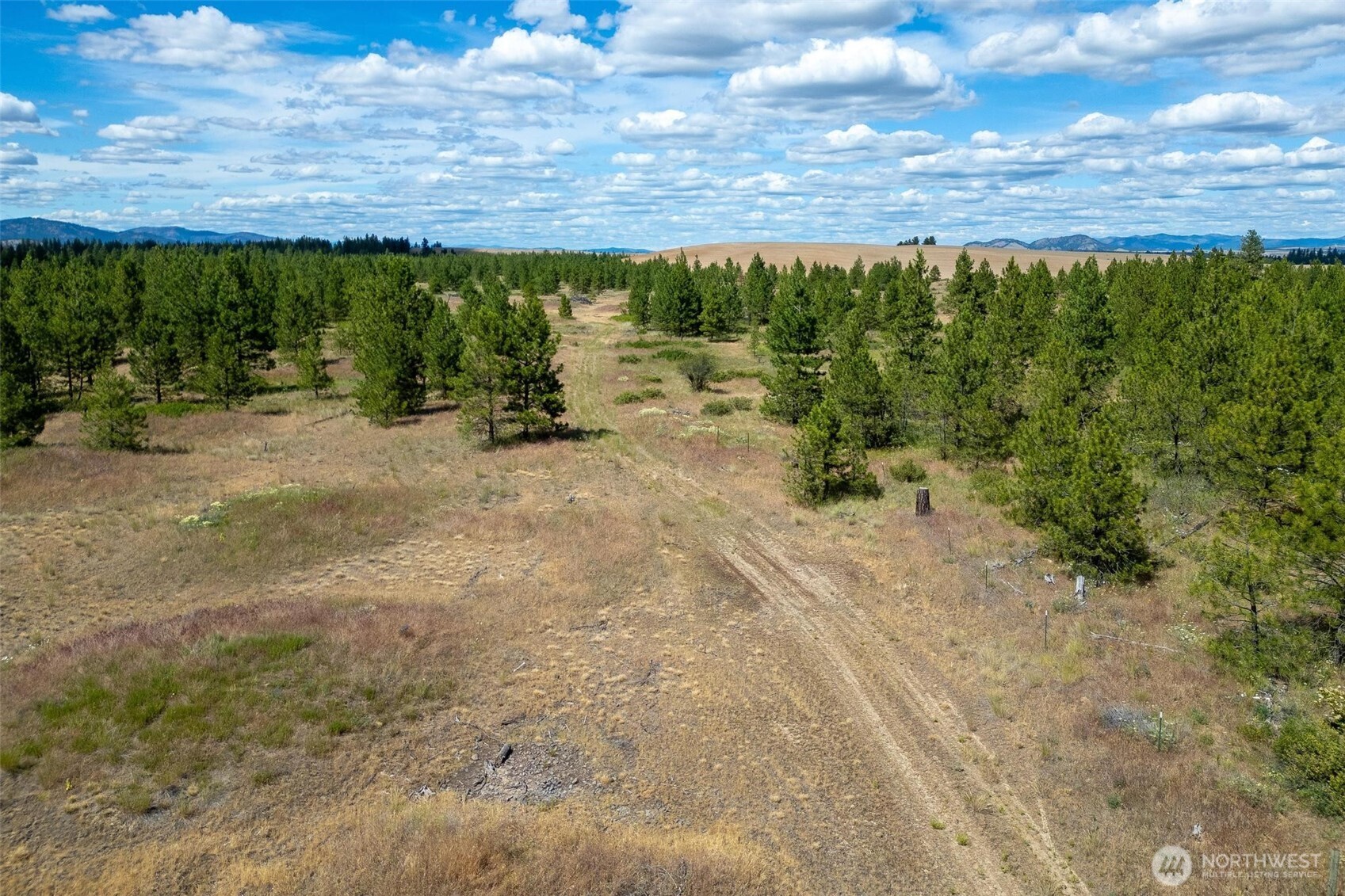 35390 Prairie Lane Lot 5 Property Photo 5