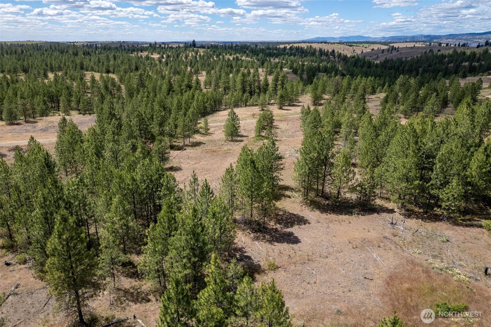 35390 Prairie Lane Lot 5 Property Photo 6