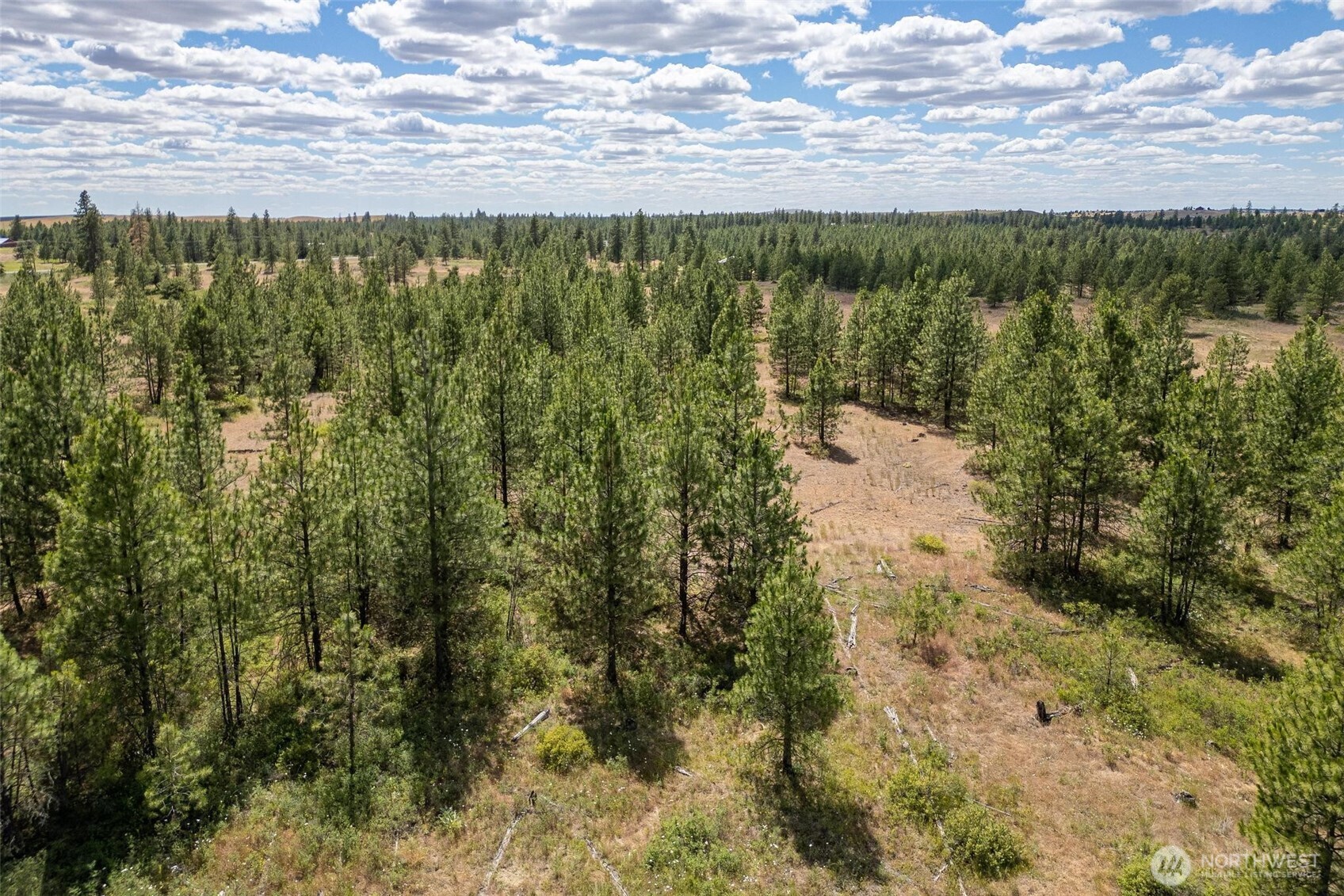 35390 Prairie Lane Lot 5 Property Photo 7