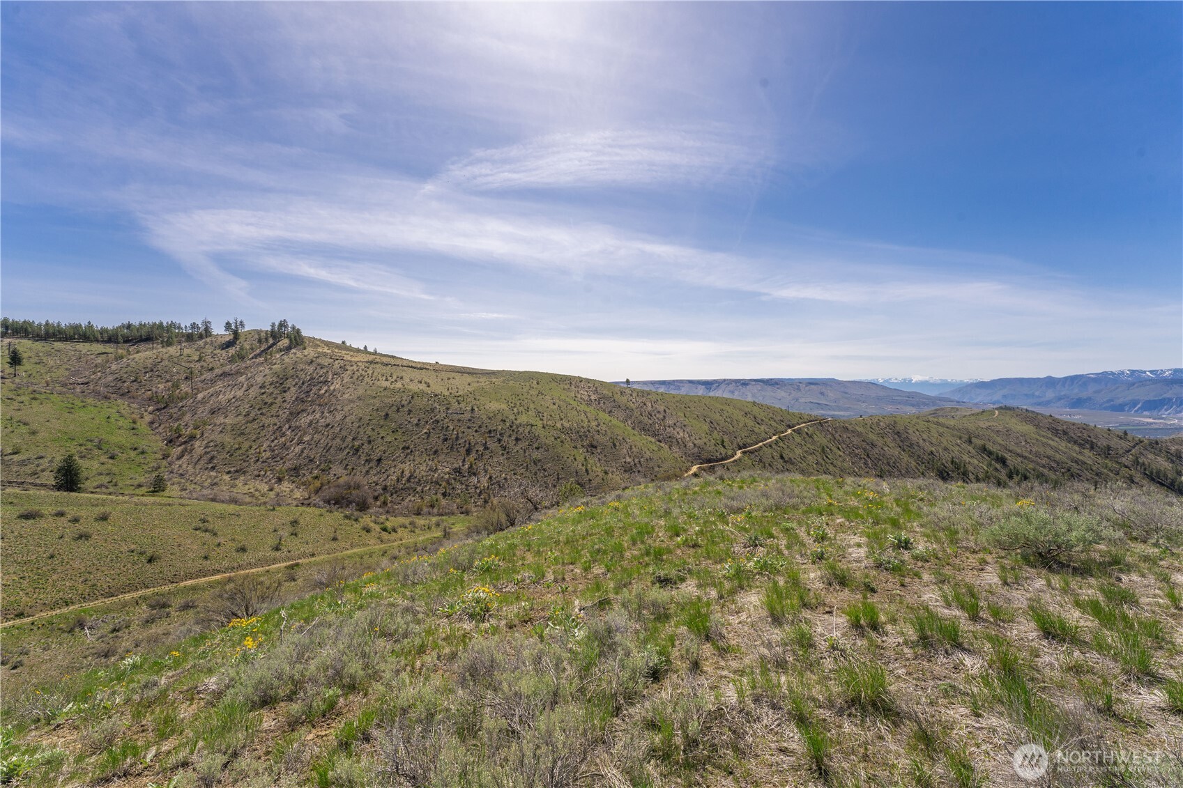 295 Hawks Ridge Road Property Photo 7
