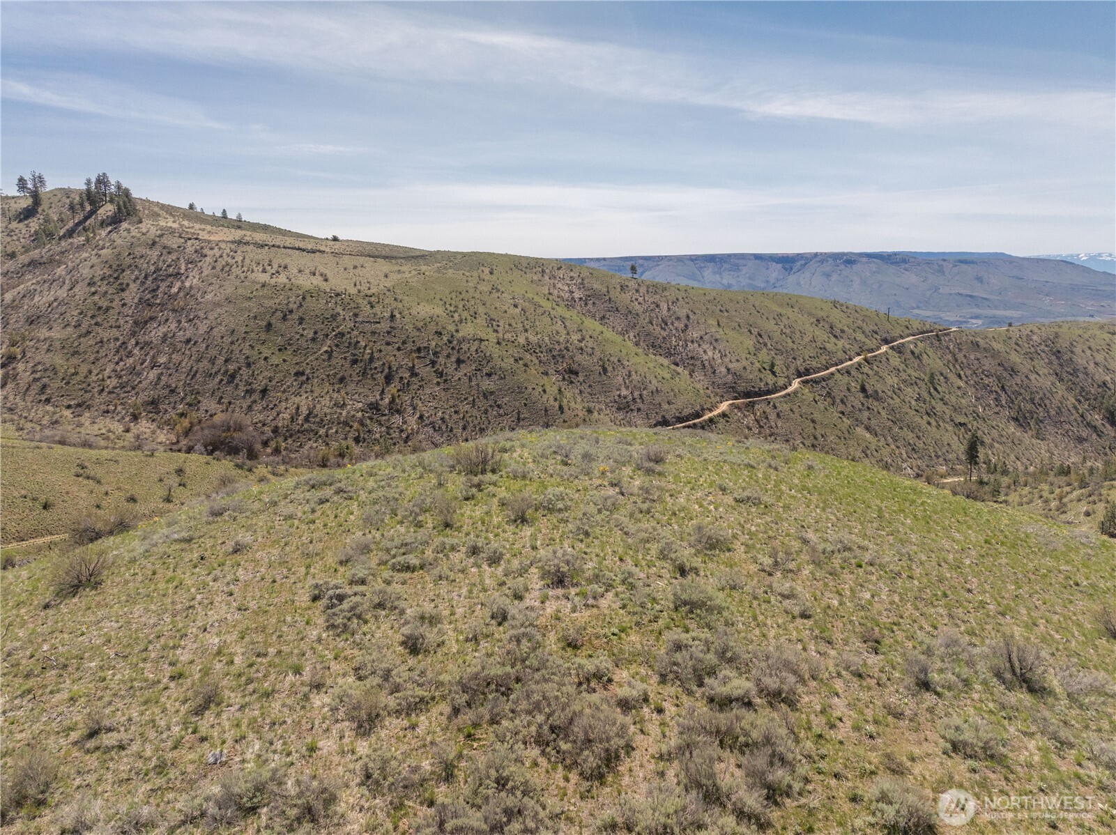 295 Hawks Ridge Road Property Photo 15