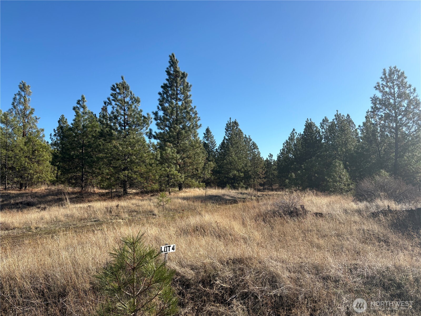 35410 Prairie Lane Lot 4 Property Photo 1