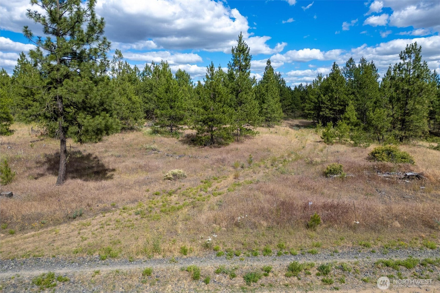 35410 Prairie Lane Lot 4 Property Photo 5