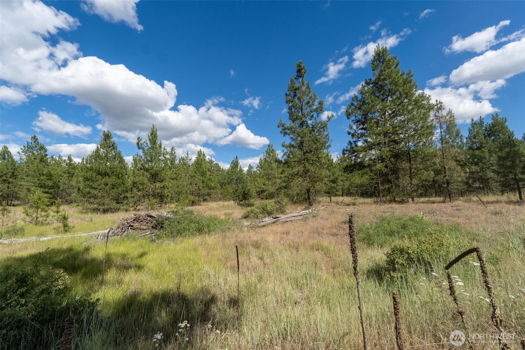 35410 Prairie Lane Lot 4 Property Photo 6