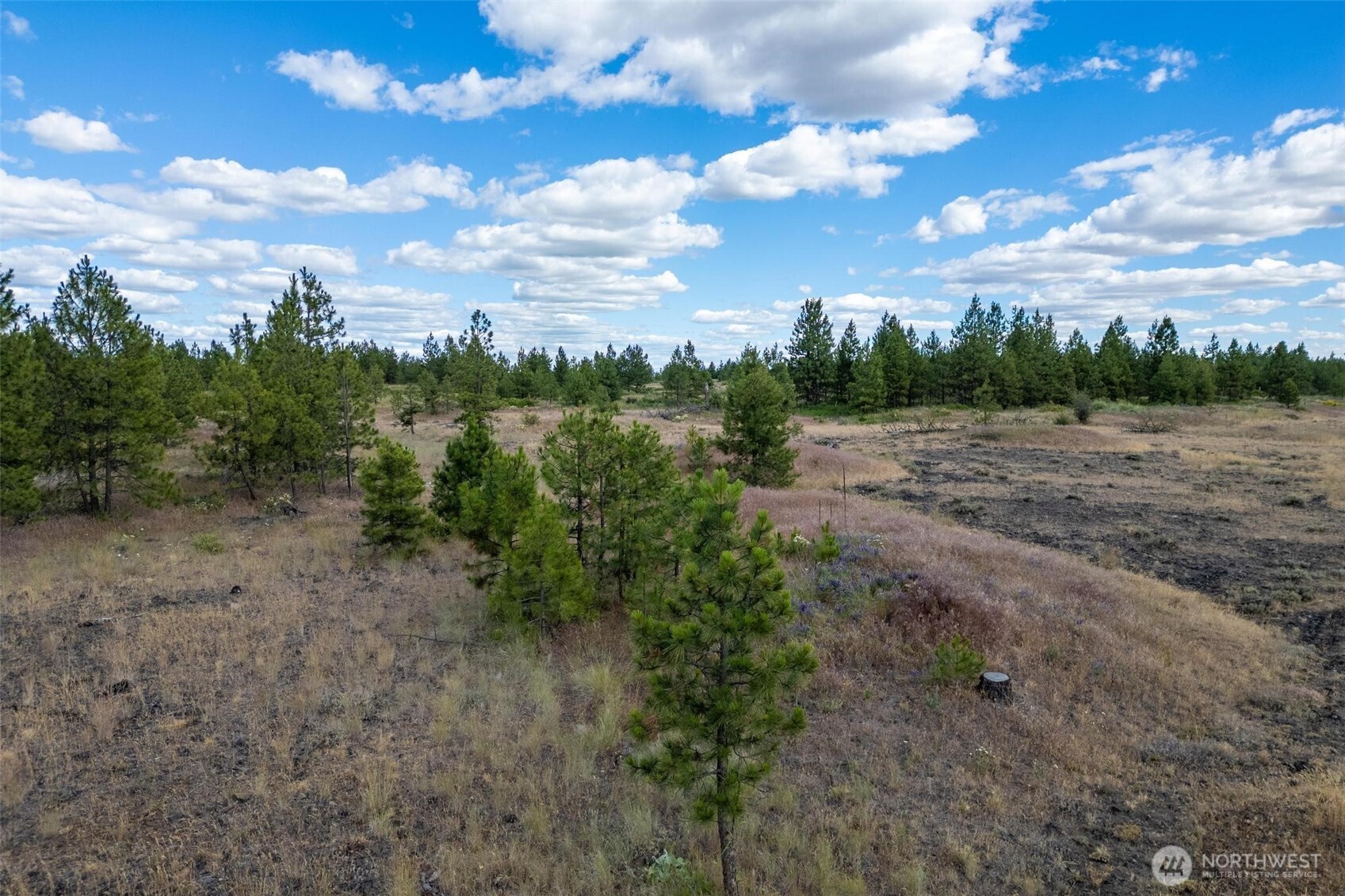 35410 Prairie Lane Lot 4 Property Photo 7
