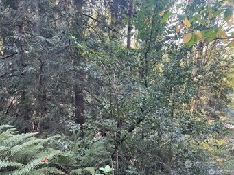 0 Melcher Street Property Photo 1