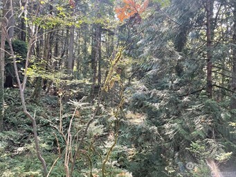 0 Melcher Street Property Photo 2