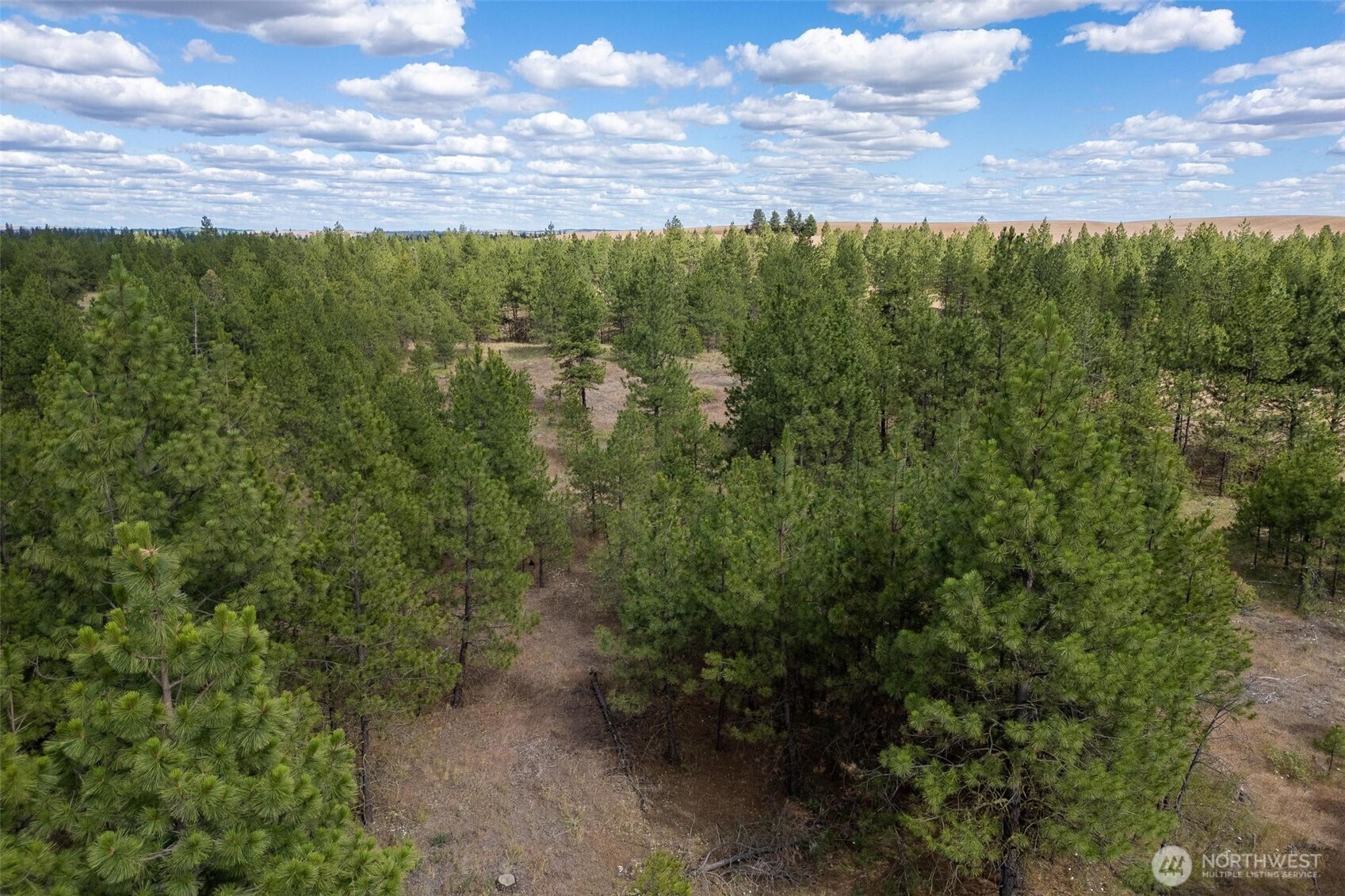 35430 Prairie Lane Lot 3 Property Photo 4