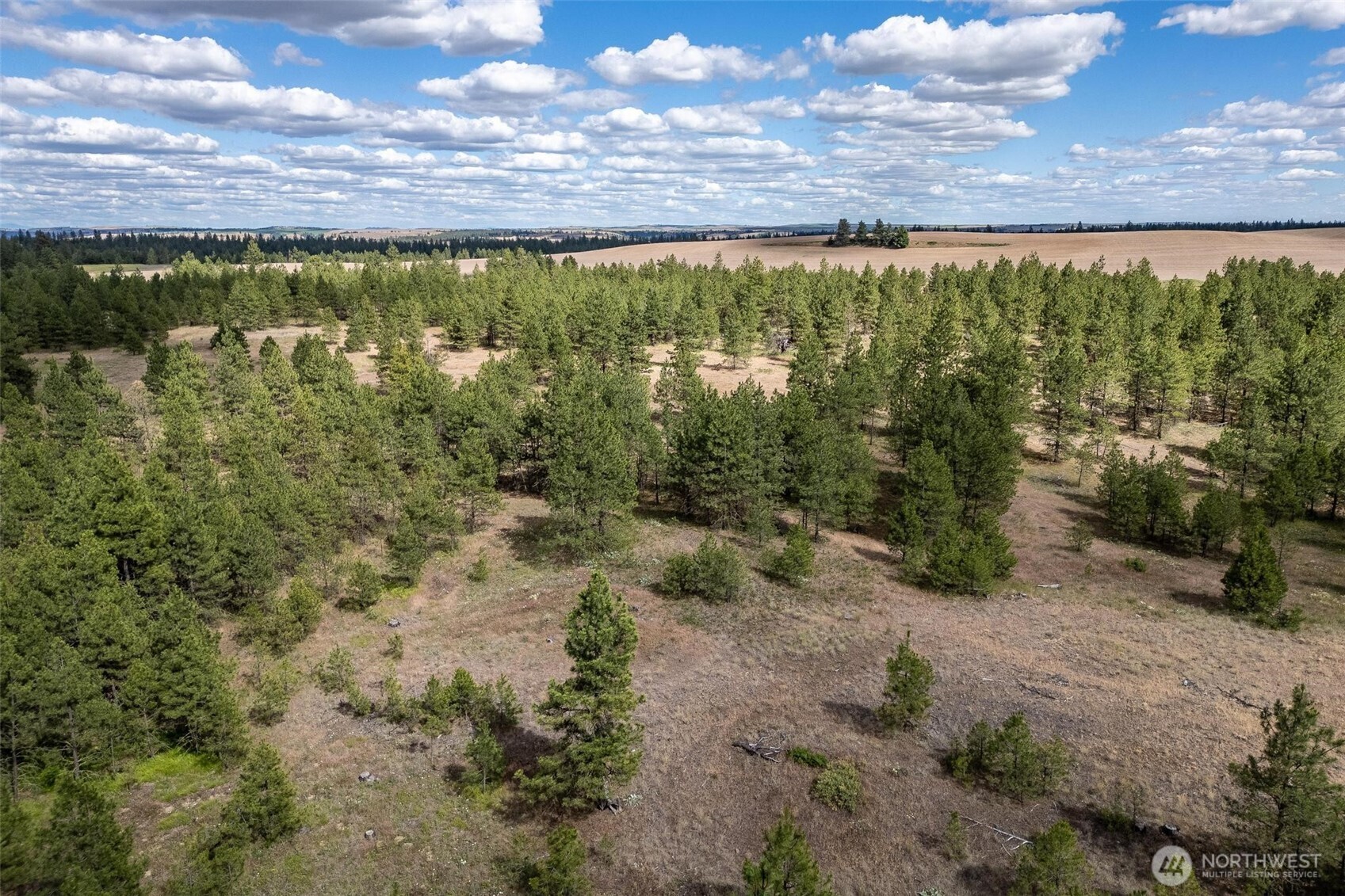 35430 Prairie Lane Lot 3 Property Photo 5