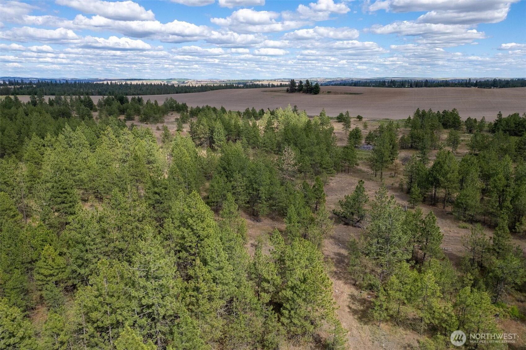 35430 Prairie Lane Lot 3 Property Photo 6
