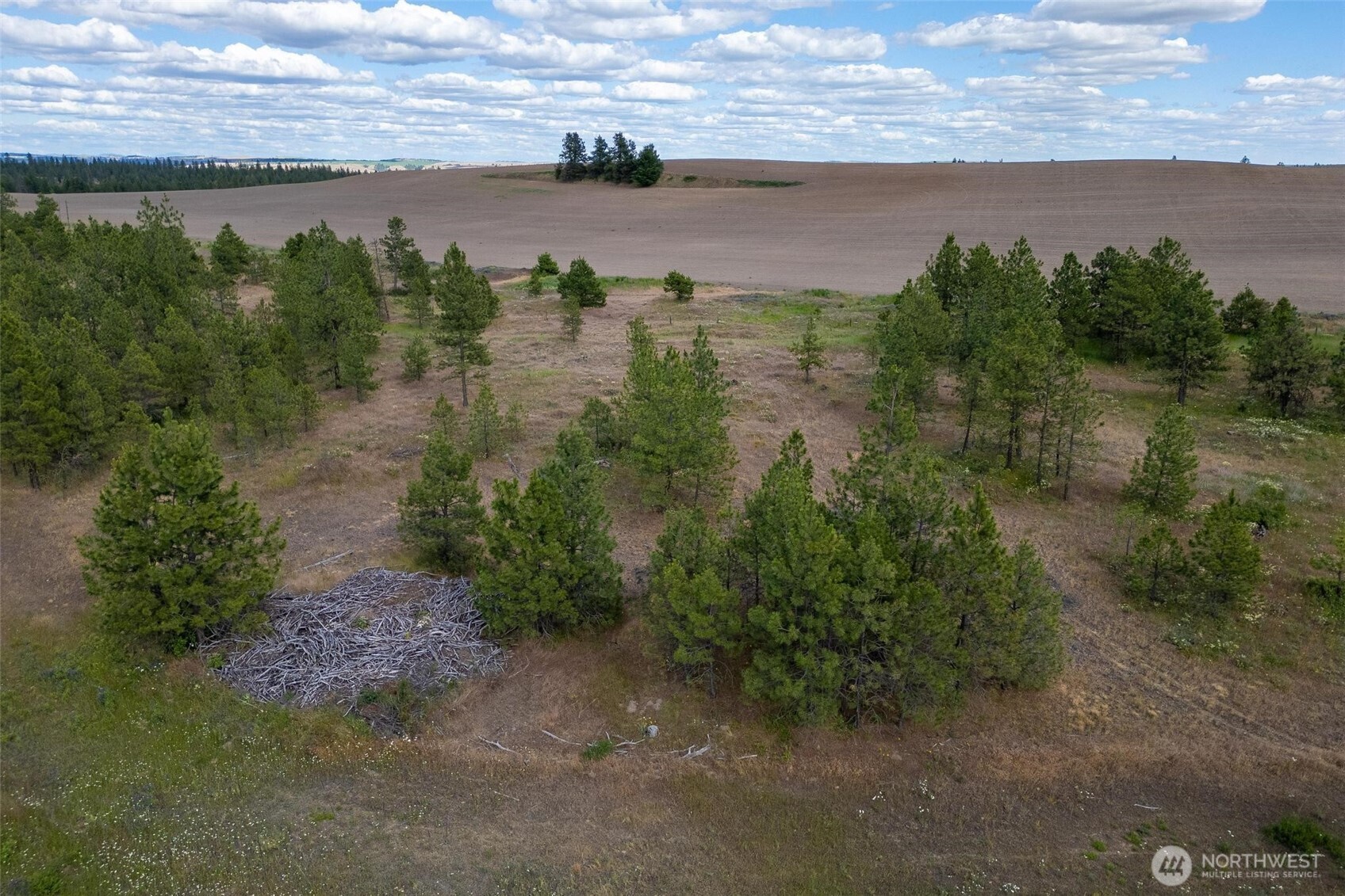 35430 Prairie Lane Lot 3 Property Photo 7