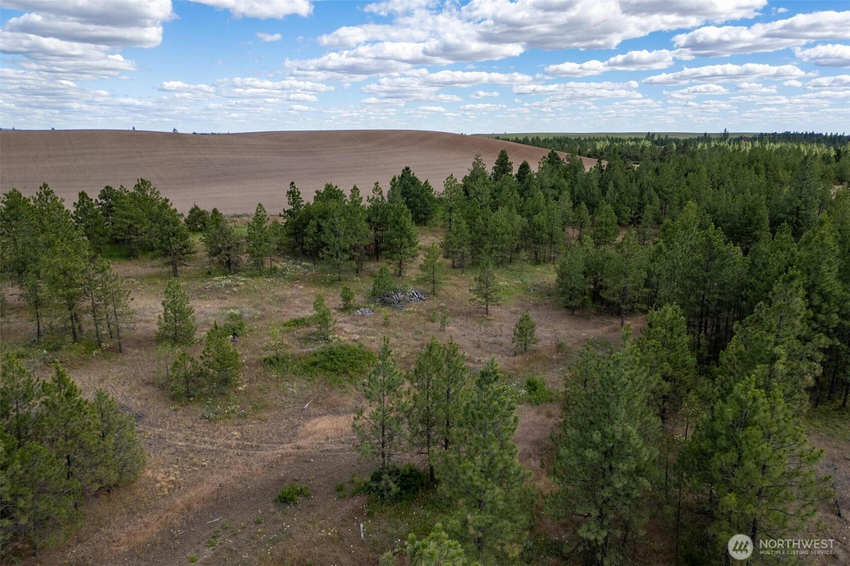 35430 Prairie Lane Lot 3 Property Photo 8