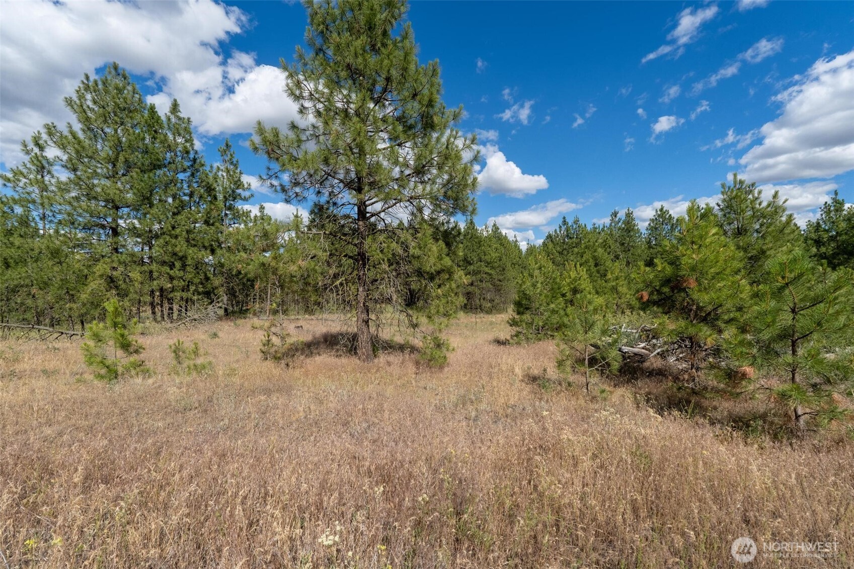 35450 Prairie Lane Lot 2 Property Photo 5