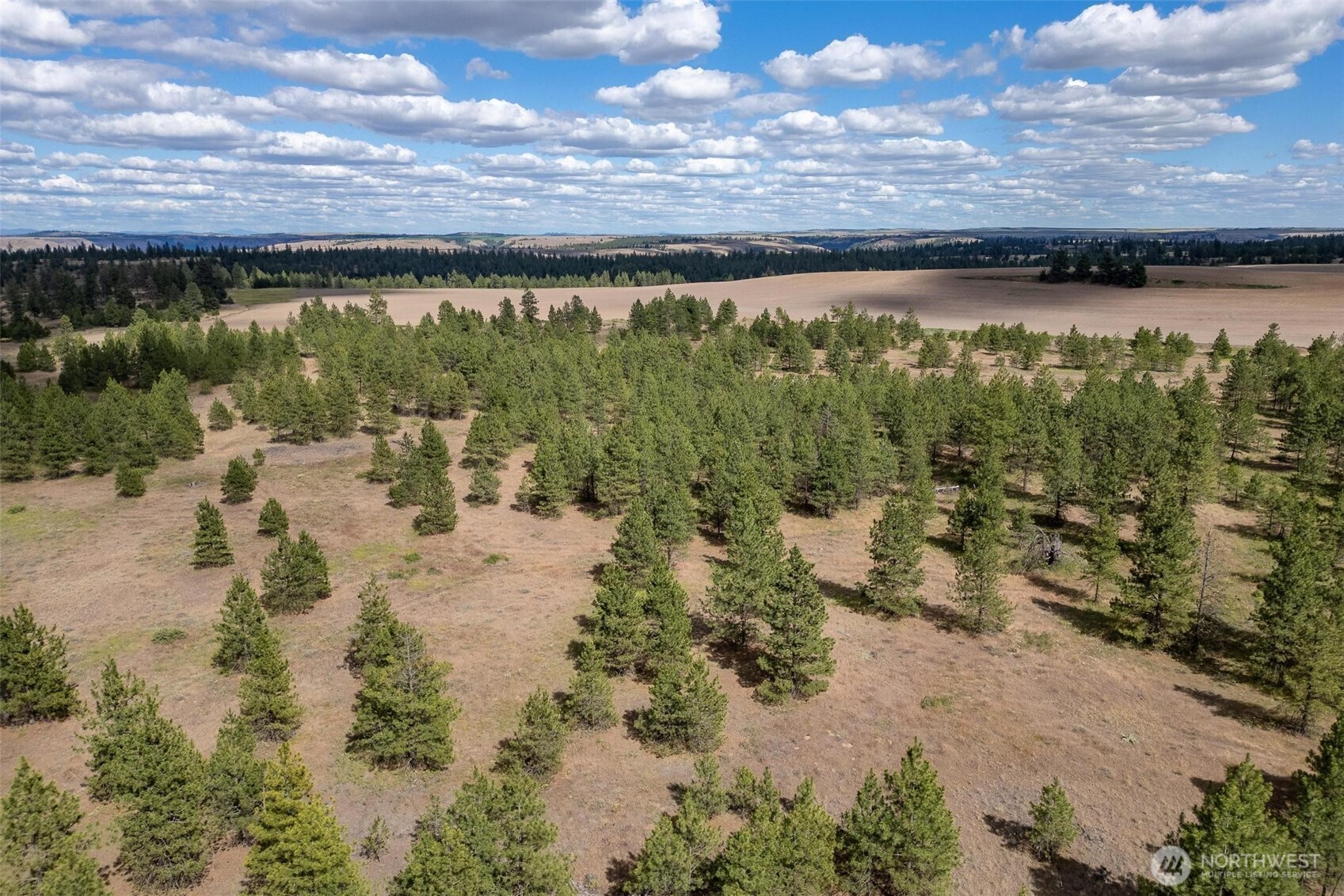 35450 Prairie Lane Lot 2 Property Photo 6
