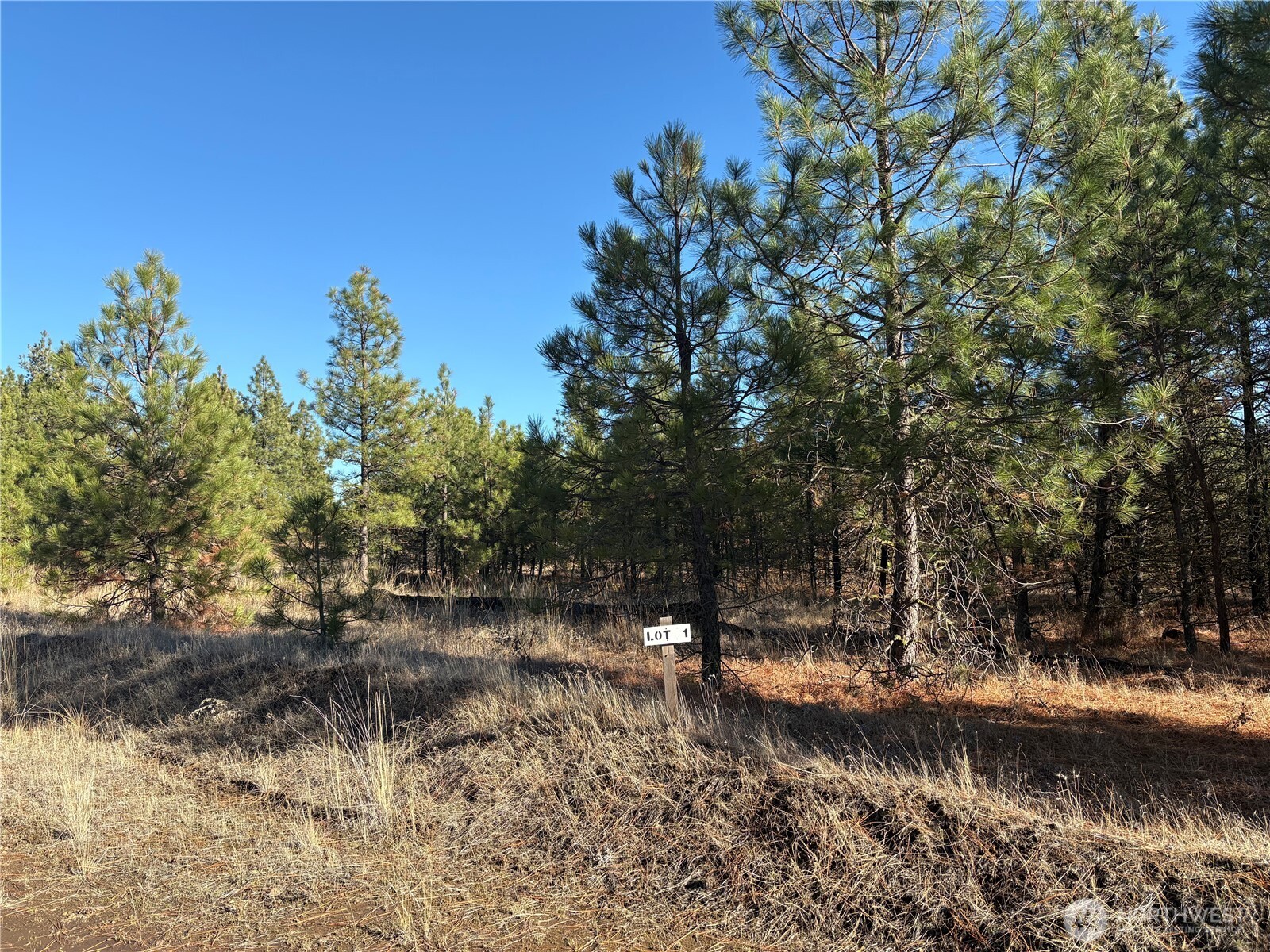 35470 Prairie Lane Lot 1