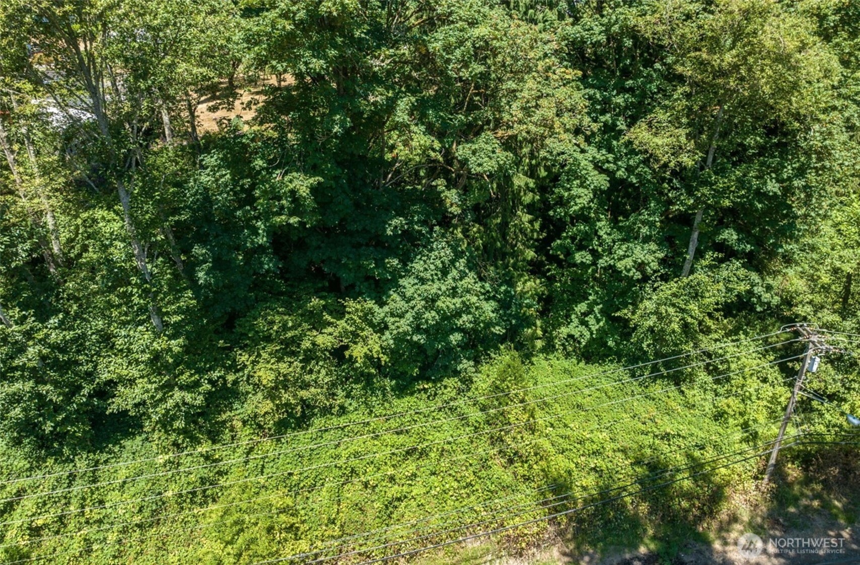 25 Xx Allen Street Property Photo 7