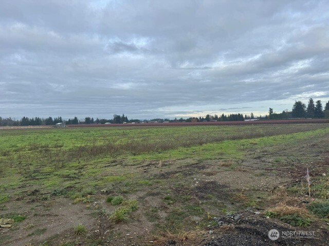 1440 Birch Bay Lynden Road Property Photo 2