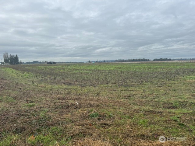 1440 Birch Bay Lynden Road Property Photo 3