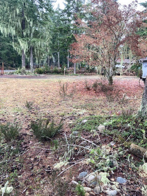 220 N Duckabush Drive Property Photo 3