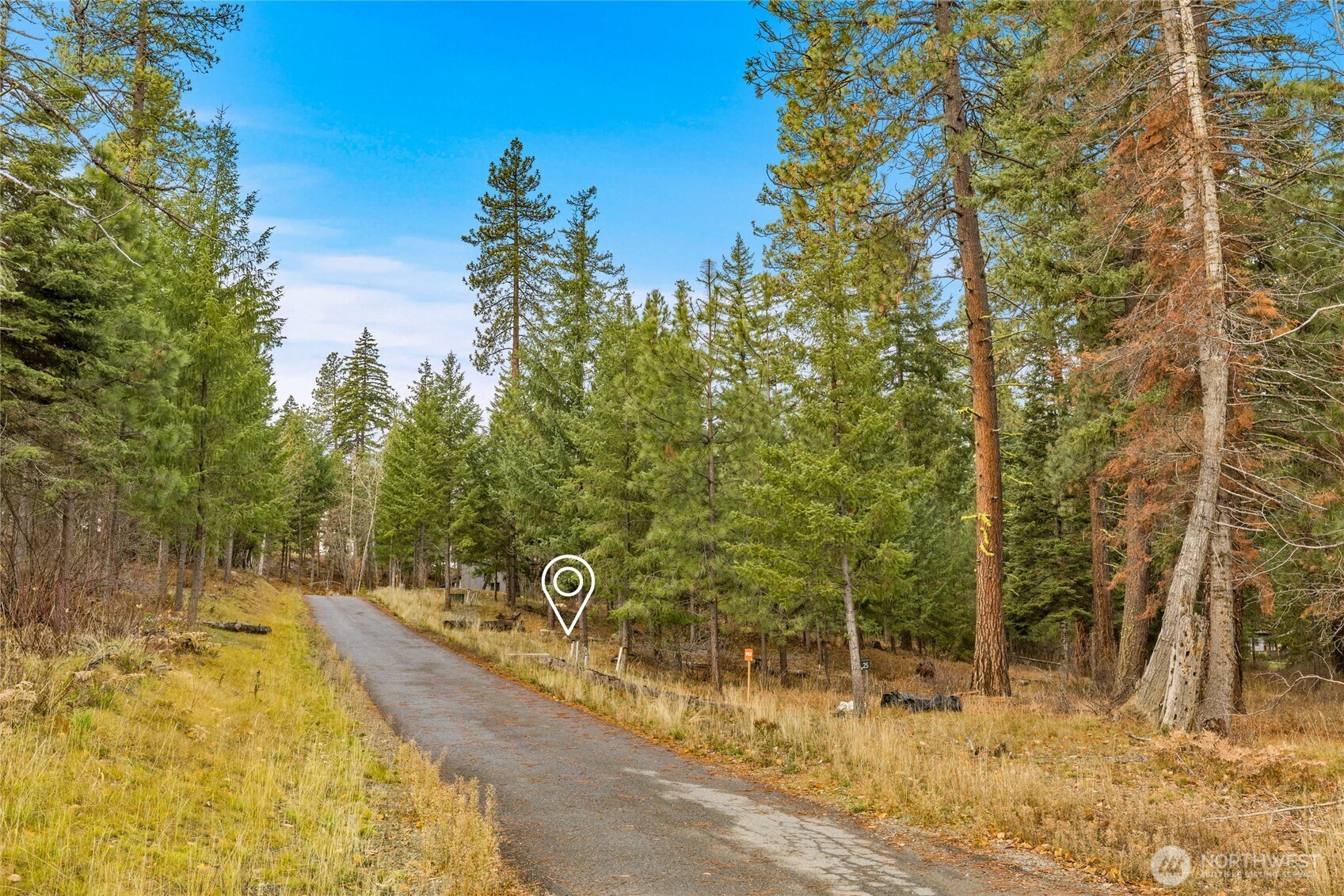 24 Old Grove Trail Property Photo 6