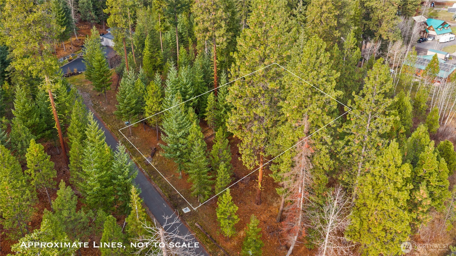 24 Old Grove Trail Property Photo 9