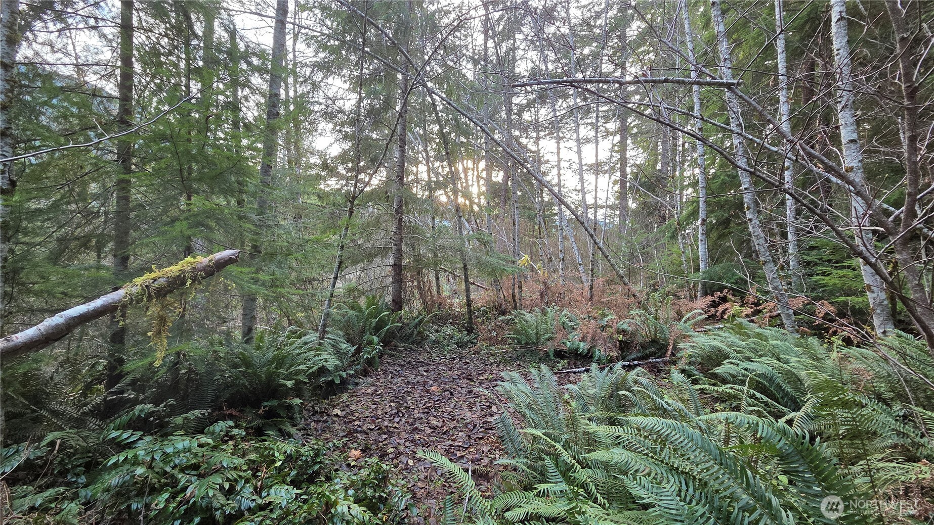 0 Kautz Place Property Photo 3