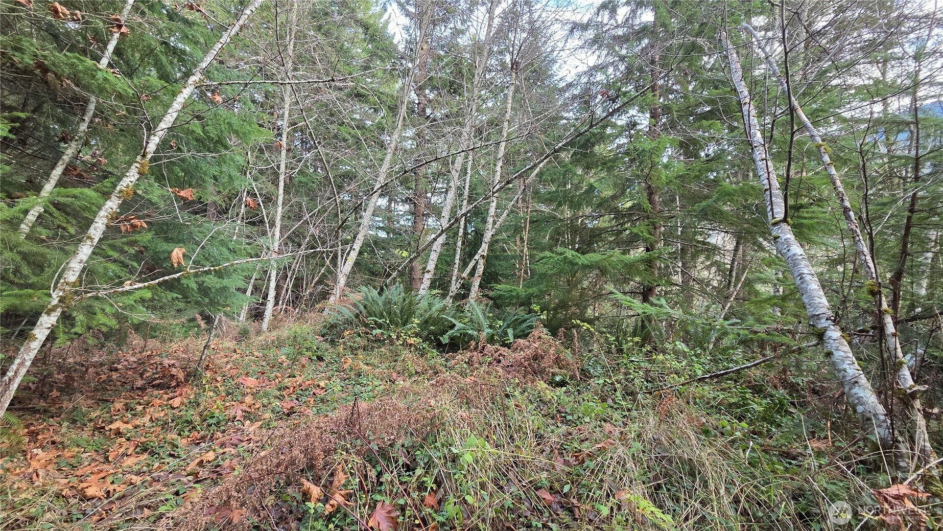 0 Kautz Place Property Photo 4