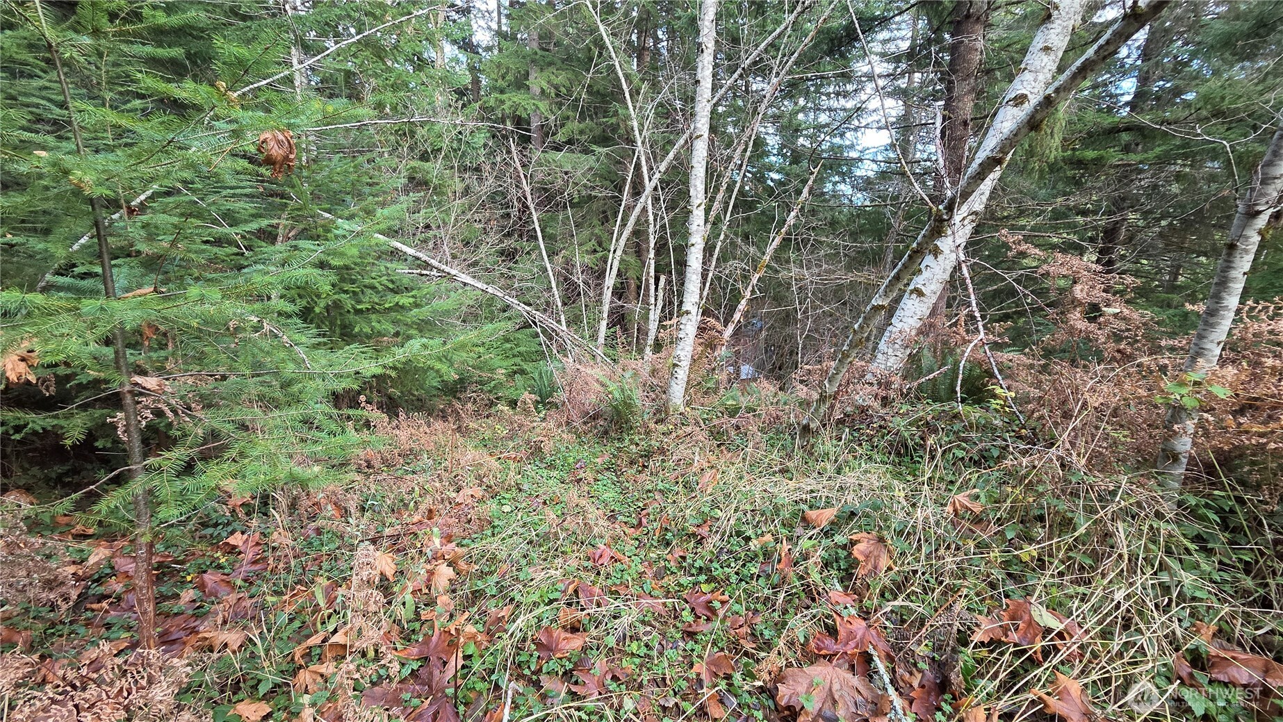 0 Kautz Place Property Photo 5