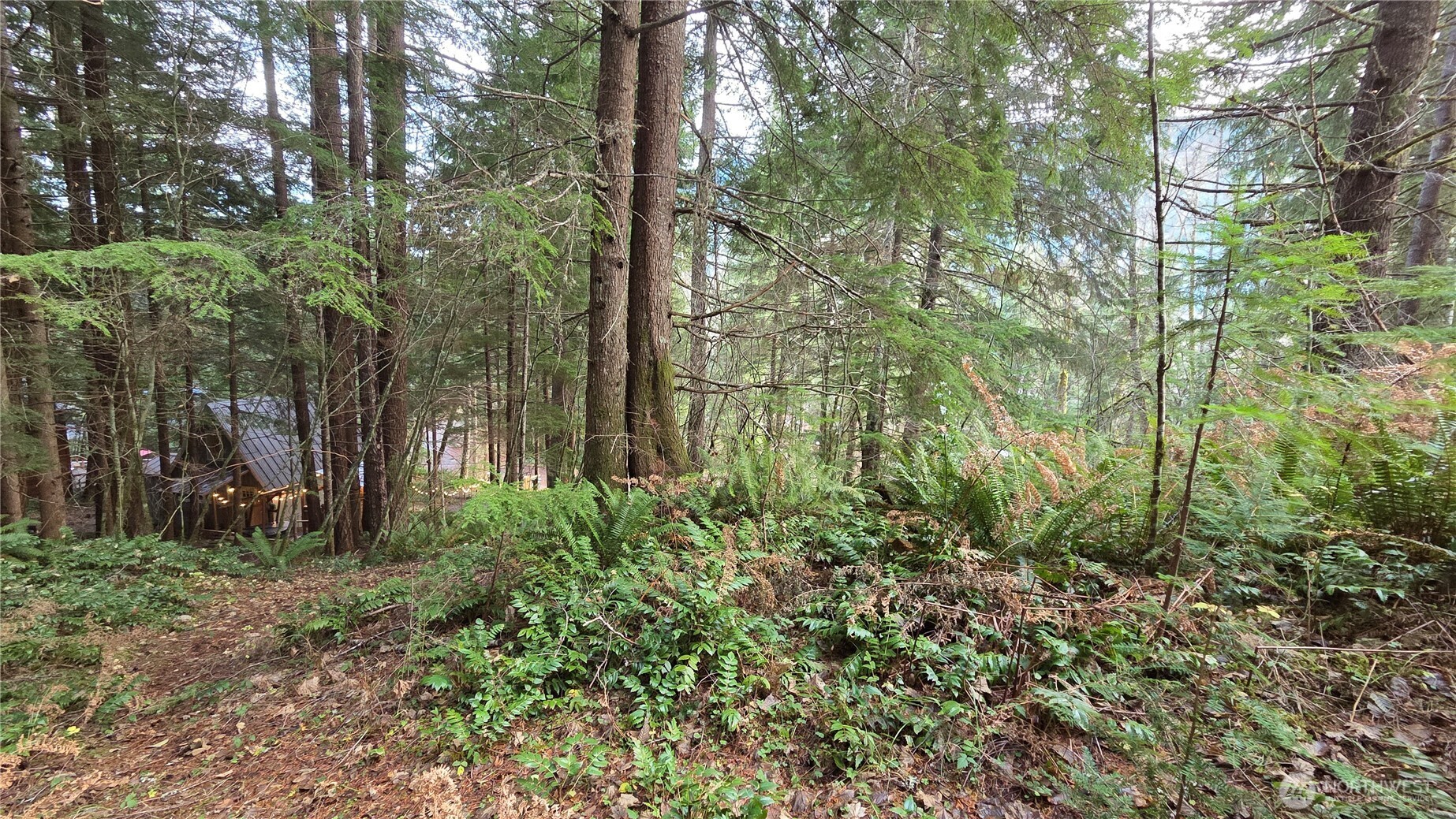 0 Kautz Place Property Photo 6