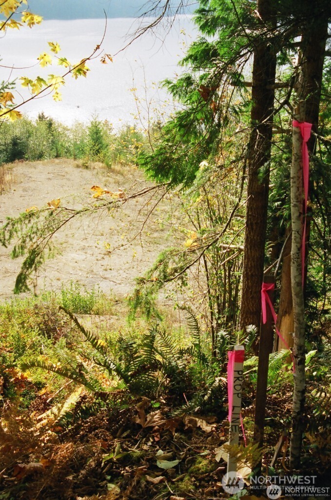 9 P-9 Us Highway 101 Property Photo 8