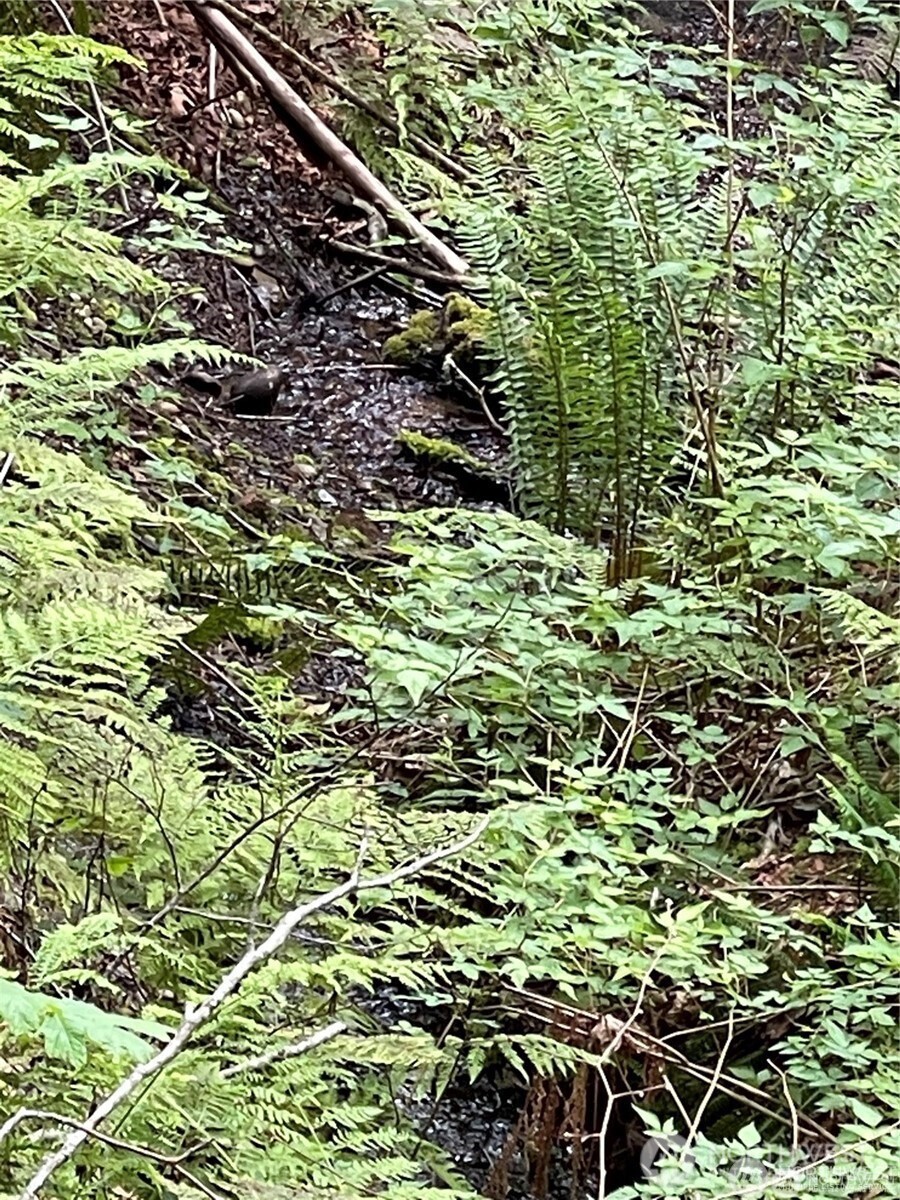 9 P-9 Us Highway 101 Property Photo 15