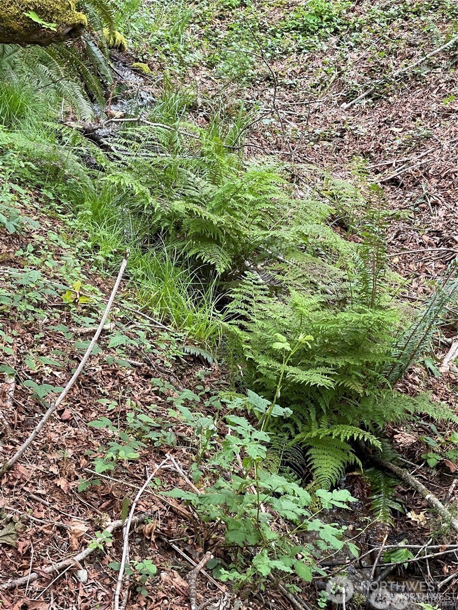 9 P-9 Us Highway 101 Property Photo 20