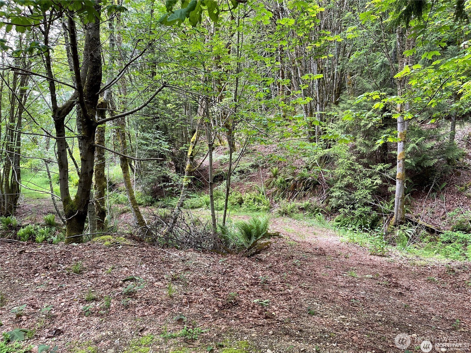 9 P-9 Us Highway 101 Property Photo 22
