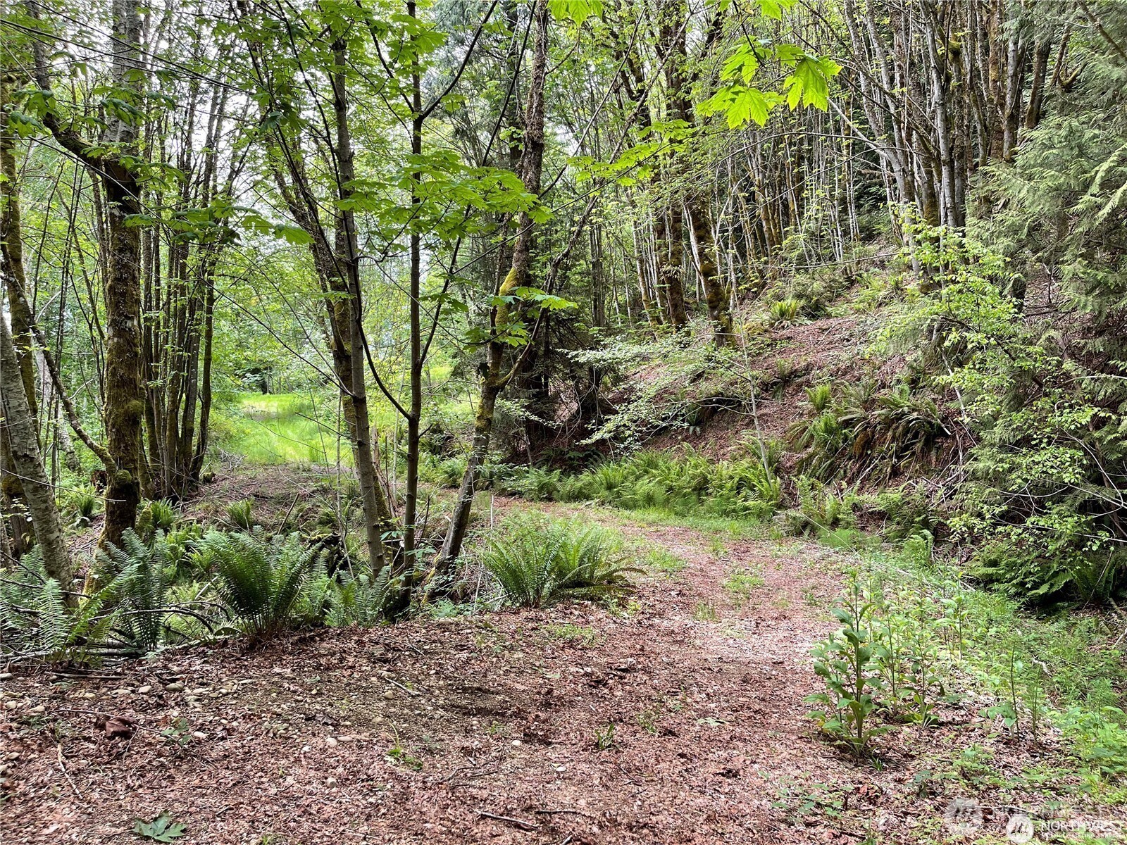 9 P-9 Us Highway 101 Property Photo 26