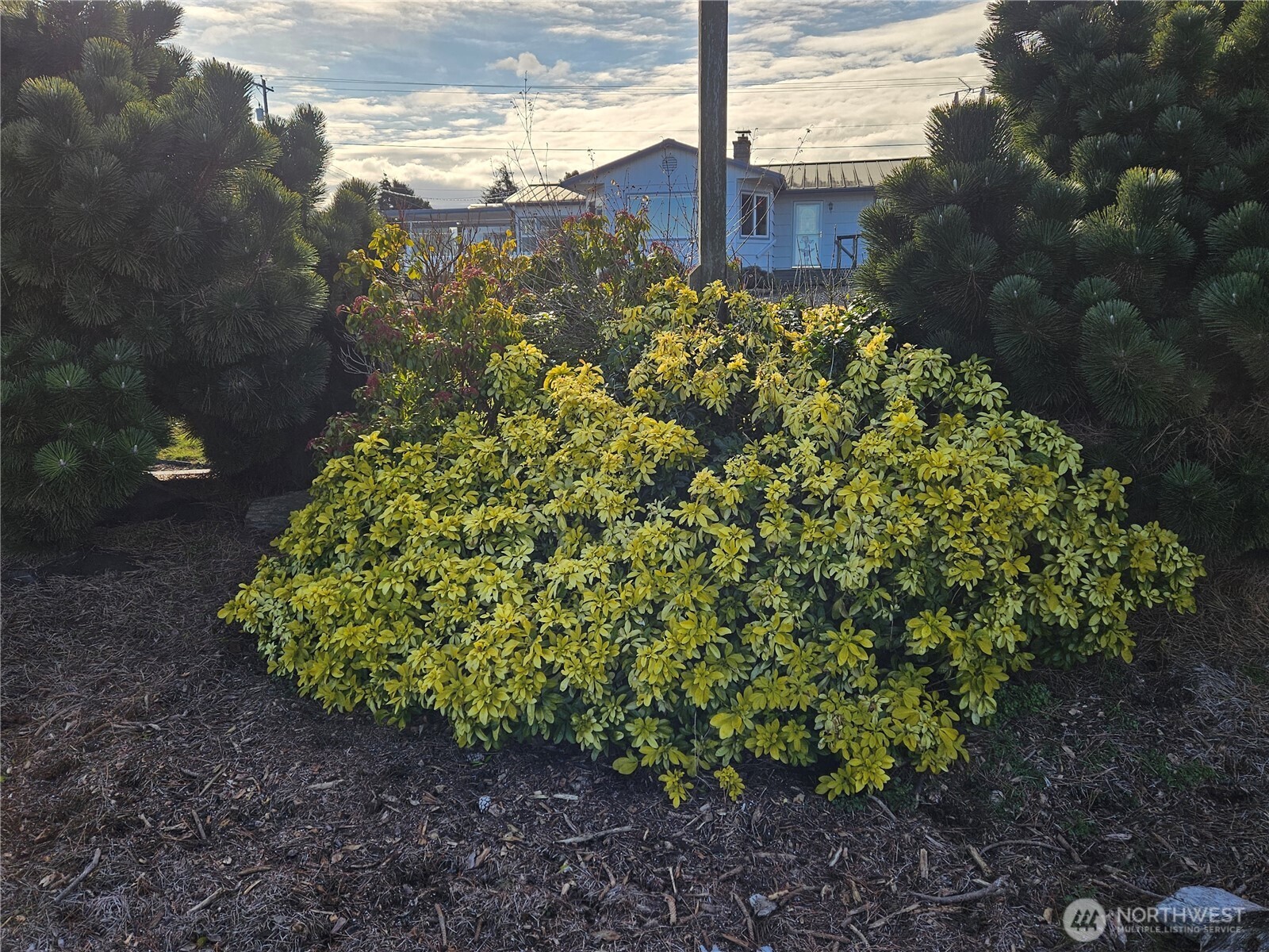 52 Libby Street Property Photo 30
