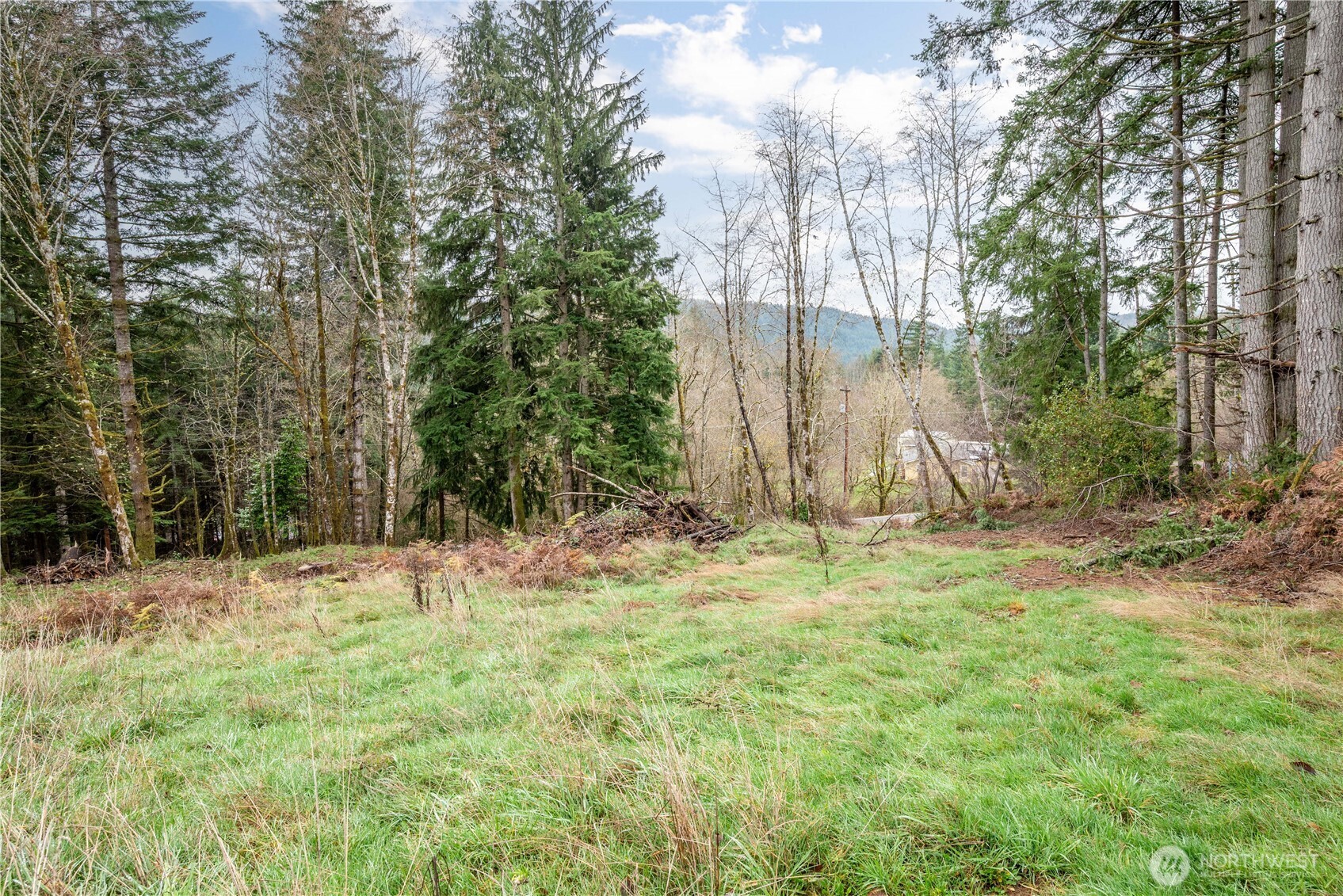 292 Woodside Drive Property Photo 8