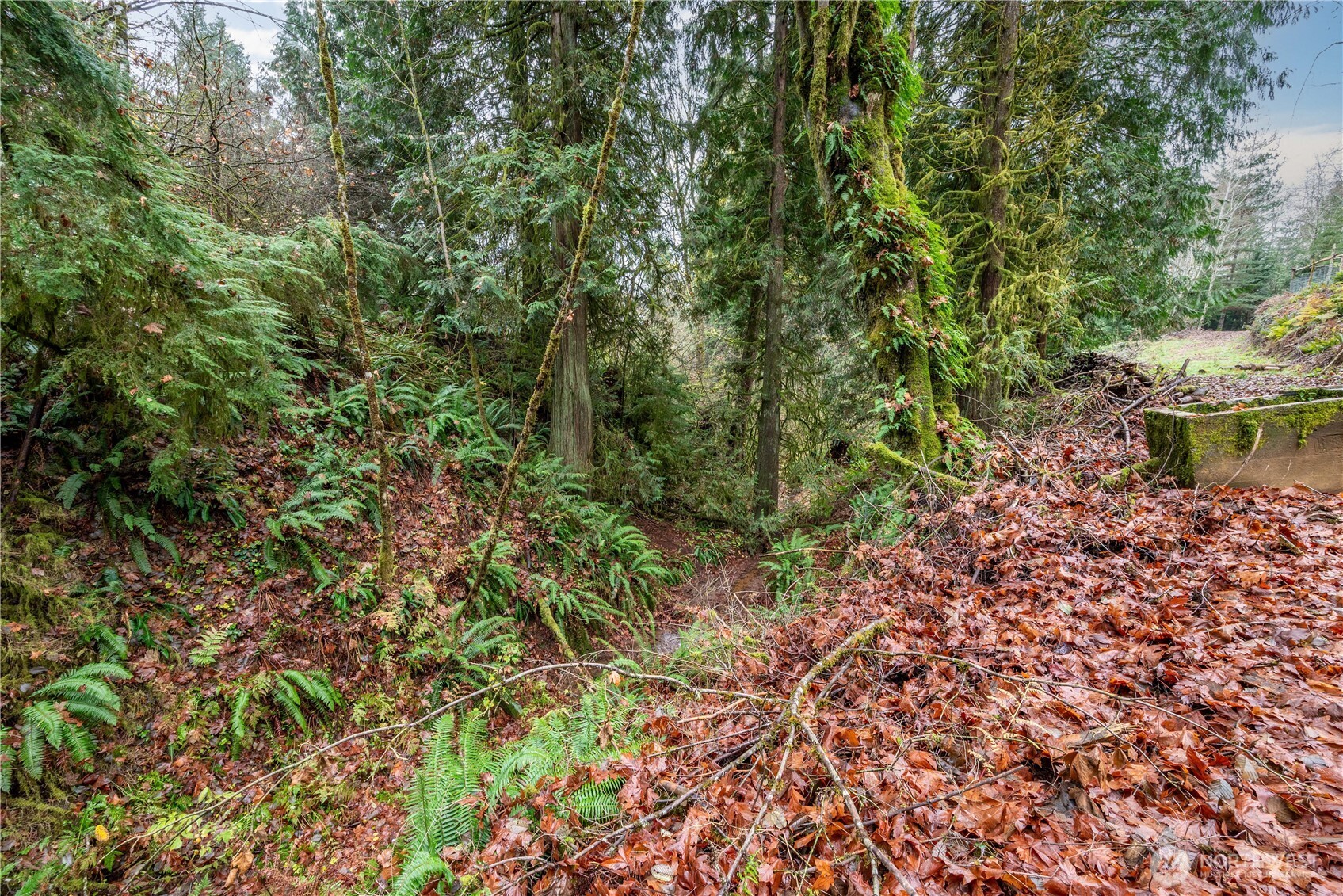 292 Woodside Drive Property Photo 14