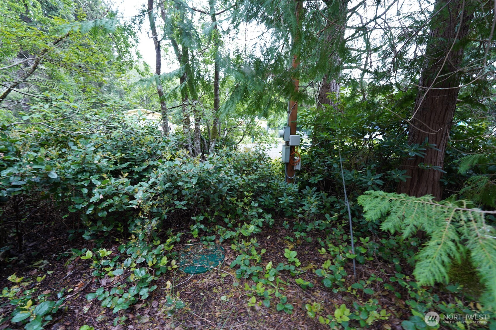 2001 323rd Place Property Photo 6